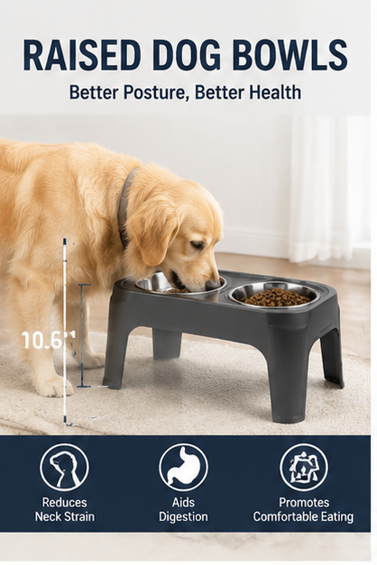 Elevated Dog Bowl Feeder – Anti-Slip Raised Pet Bowl Stand for Medium & Large Dogs, Ergonomic Feeding Station for Healthy Eating Posture
