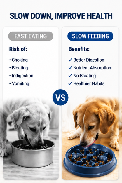 Slow Feeder Dog Bowl – Anti-Choking Puzzle Bowl for Dogs, Non-Slip Durable Pet Food Bowl for Healthy Eating